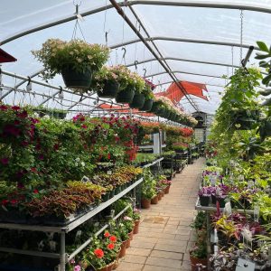 Liberty ARC's Horticulture Center full of plants and flowers.
